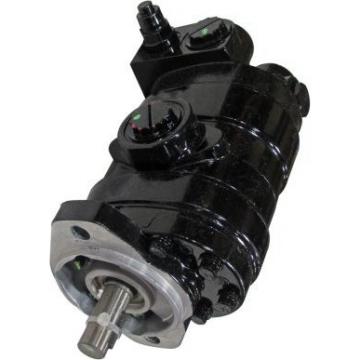 Gleaner A85 Reman Hydraulic Final Drive Motor
