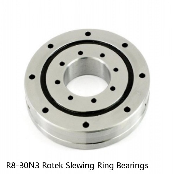 R8-30N3 Rotek Slewing Ring Bearings