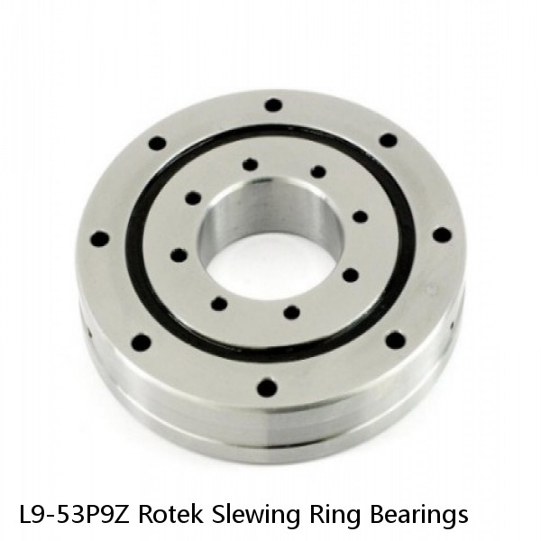 L9-53P9Z Rotek Slewing Ring Bearings