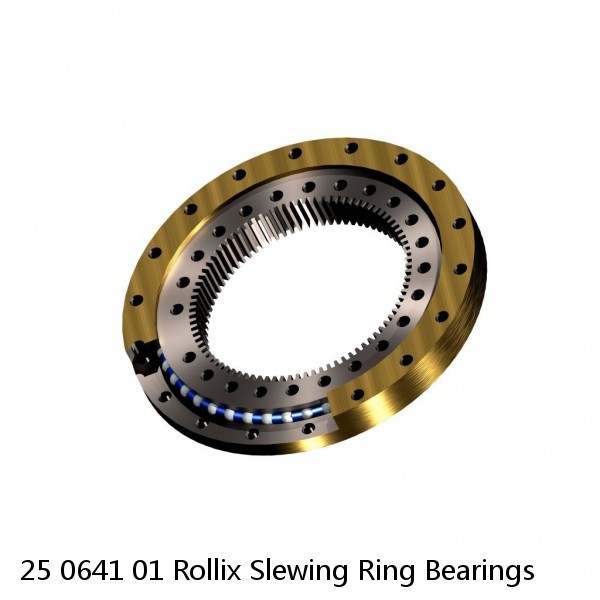 25 0641 01 Rollix Slewing Ring Bearings