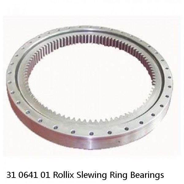 31 0641 01 Rollix Slewing Ring Bearings