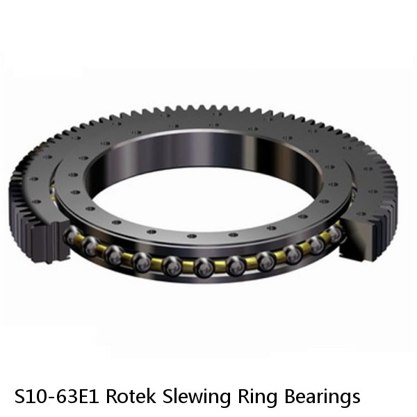 S10-63E1 Rotek Slewing Ring Bearings #1 small image