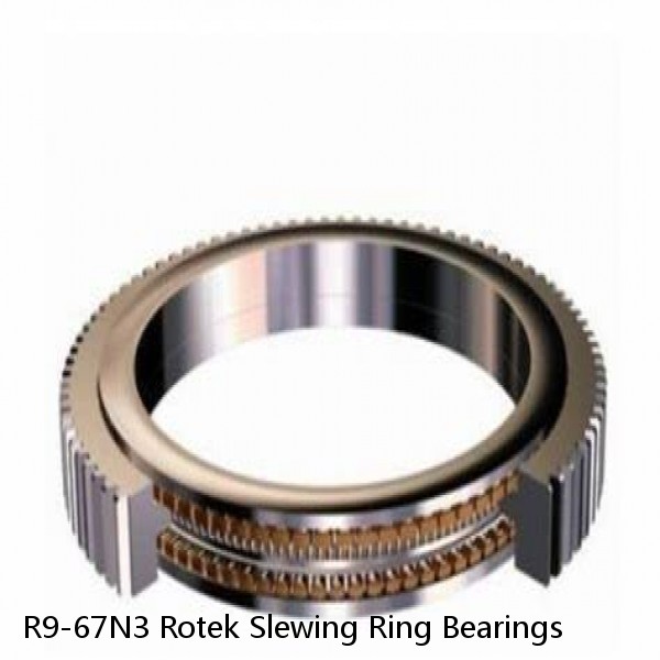 R9-67N3 Rotek Slewing Ring Bearings #1 small image