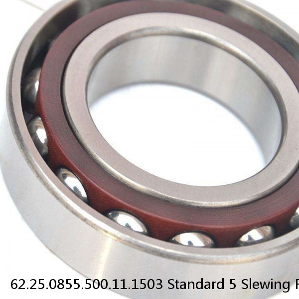 62.25.0855.500.11.1503 Standard 5 Slewing Ring Bearings