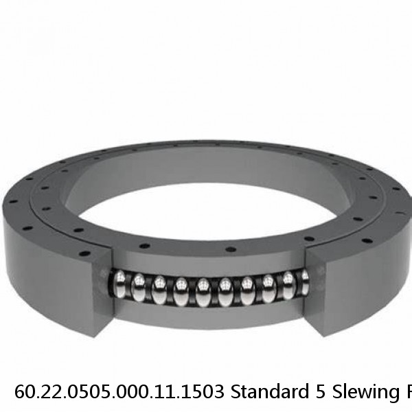 60.22.0505.000.11.1503 Standard 5 Slewing Ring Bearings #1 image