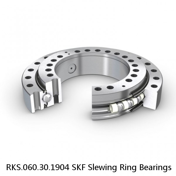 RKS.060.30.1904 SKF Slewing Ring Bearings #1 image
