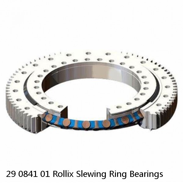 29 0841 01 Rollix Slewing Ring Bearings #1 image
