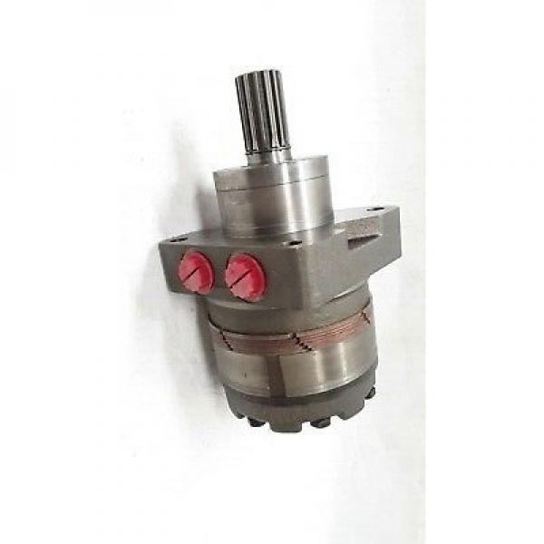 Bomag 101150511316 Reman Hydraulic Final Drive Motor #2 image