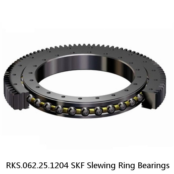 RKS.062.25.1204 SKF Slewing Ring Bearings #1 image
