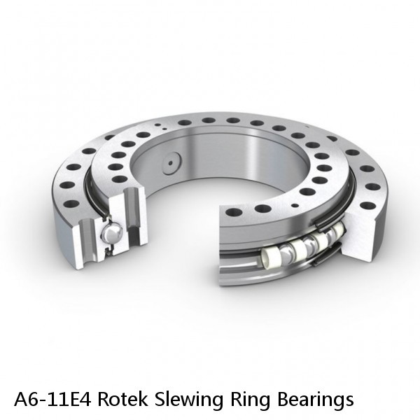 A6-11E4 Rotek Slewing Ring Bearings #1 image