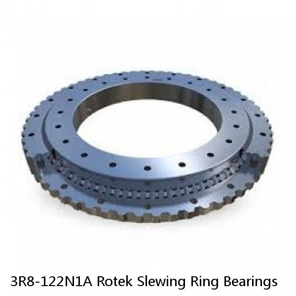 3R8-122N1A Rotek Slewing Ring Bearings #1 image