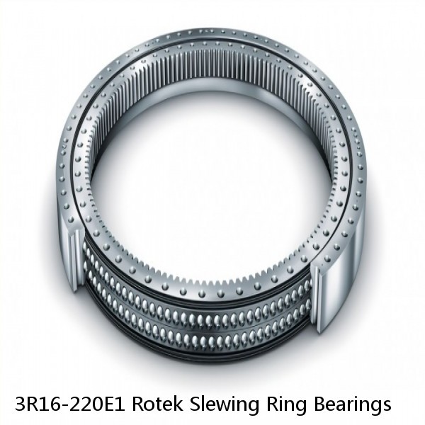 3R16-220E1 Rotek Slewing Ring Bearings #1 image