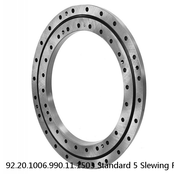 92.20.1006.990.11.1503 Standard 5 Slewing Ring Bearings #1 image