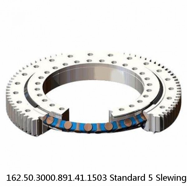 162.50.3000.891.41.1503 Standard 5 Slewing Ring Bearings #1 image